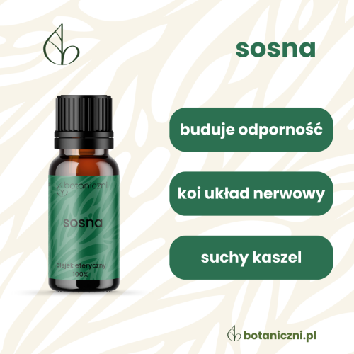 Sosna olejek eteryczny 10 ml